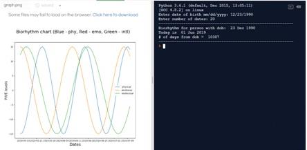 ITECH1400 Biorhythms 2.jpg